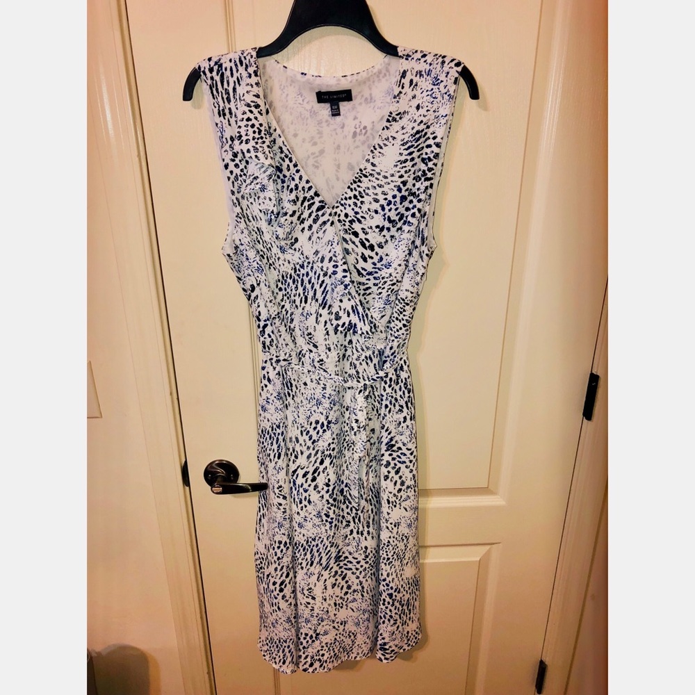The Limited | Blue and White Wrap dress